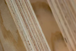 CLT_panel